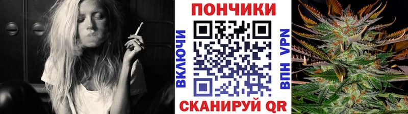 OMG маркетплейс  Вятские Поляны  Канабис сатива 